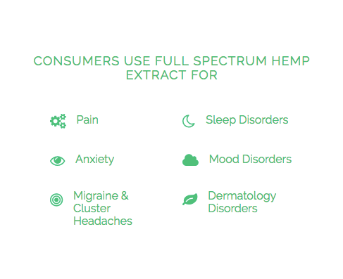Hemp Extract with CBD Edibles 100mg | Pineapple & Turmeric (12 pieces) - Image 3